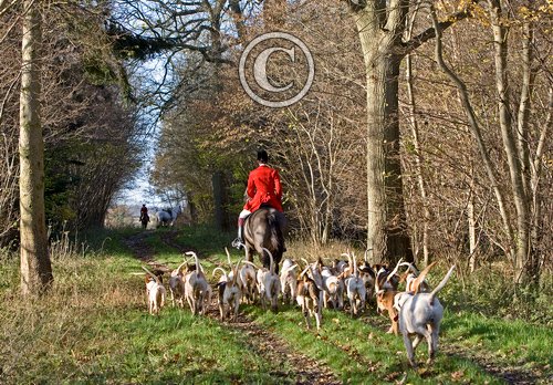 Huntsman and Hounds 1 DM0216